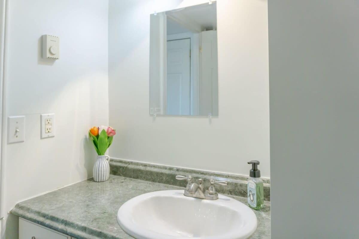 Amazing Location In Saint John 2 Bedroom Modern Parking New Exterior foto